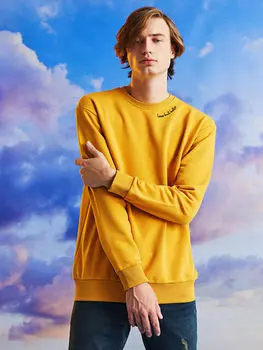 Мужская толстовка с круглым вырезом и длинным рукавом с принтом LCW Casual