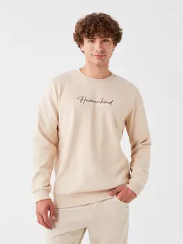 Мужская толстовка с круглым вырезом и длинным рукавом с принтом LCW Casual, бежевый