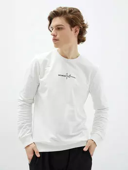 Мужская толстовка с круглым вырезом и длинным рукавом с принтом LCW Casual, от белого