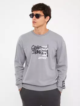 Мужская толстовка с круглым вырезом и длинным рукавом с принтом LCW Casual, серый