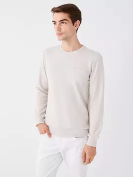 Мужская толстовка с круглым вырезом и длинным рукавом с принтом LCW Casual, светло-серый