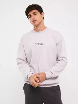 Мужская толстовка с круглым вырезом и длинным рукавом с принтом LCW Casual, сирень