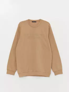 Мужская толстовка с круглым вырезом и длинным рукавом с принтом LCWAIKIKI Classic, бежевый