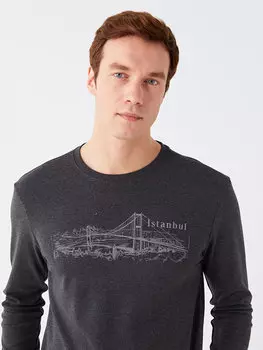 Мужская толстовка с круглым вырезом и длинным рукавом с принтом LCWAIKIKI Classic, антрацит меланж