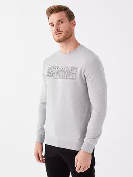 Мужская толстовка с круглым вырезом и длинным рукавом с принтом LCWAIKIKI Classic, серый