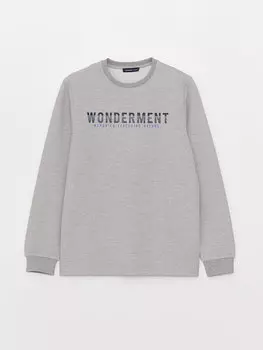 Мужская толстовка с круглым вырезом и длинным рукавом с принтом LCWAIKIKI Classic, серый меланж