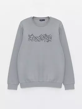 Мужская толстовка с круглым вырезом и длинным рукавом с принтом LCWAIKIKI Classic, серый