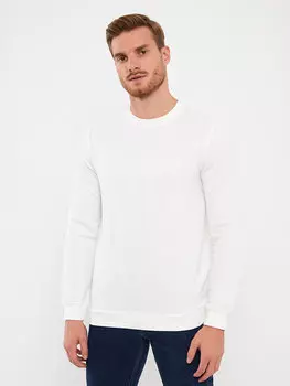 Мужская толстовка с круглым вырезом и длинным рукавом с принтом LCWAIKIKI Classic, экрю