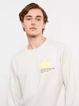 Мужская толстовка с круглым вырезом и длинным рукавом с принтом LCW Casual, светло-серый