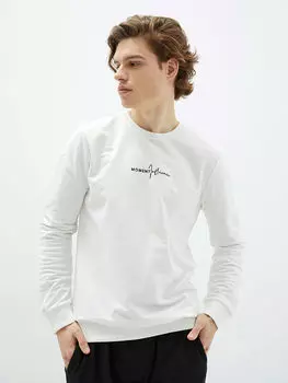 Мужская толстовка с круглым вырезом и длинным рукавом с принтом LCW Casual