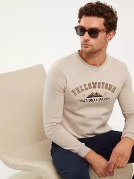 Мужская толстовка с круглым вырезом и длинным рукавом с принтом LCWAIKIKI Classic