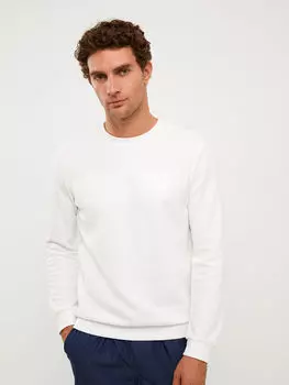 Мужская толстовка с круглым вырезом и длинным рукавом с принтом LCWAIKIKI Classic