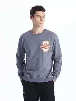 Мужская толстовка с круглым вырезом и длинными рукавами CALMERA MODA, дымчато-серый