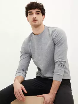 Мужская толстовка с круглым вырезом и длинными рукавами LCW Casual, серый меланж