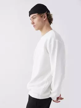 Мужская толстовка с круглым вырезом и длинными рукавами LCW Casual, экрю