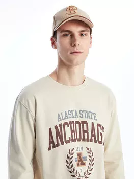 Мужская толстовка с круглым вырезом и длинными рукавами CALMERA MODA, камень