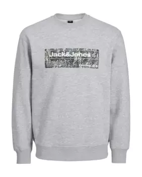 Мужская толстовка с круглым вырезом и длинными рукавами Jack & Jones, серый