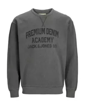 Мужская толстовка с круглым вырезом и длинными рукавами Jack & Jones, серый