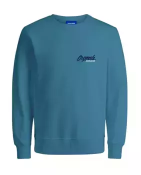 Мужская толстовка с круглым вырезом и длинными рукавами Jack & Jones, цвет Verde Agua