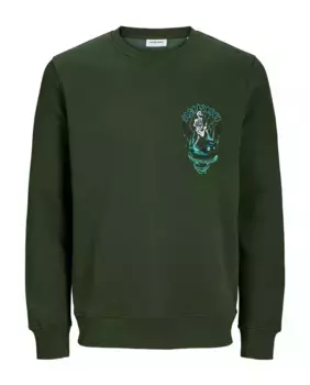 Мужская толстовка с круглым вырезом и длинными рукавами Jack & Jones, зеленый