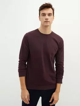 Мужская толстовка с круглым вырезом и длинными рукавами LC Waikiki Basic