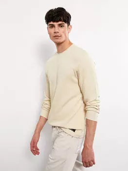 Мужская толстовка с круглым вырезом и длинными рукавами LCW Casual