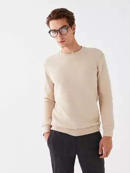 Мужская толстовка с круглым вырезом и длинными рукавами LCW Vision, бежевый