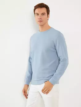 Мужская толстовка с круглым вырезом и длинными рукавами LCW Vision, сизый