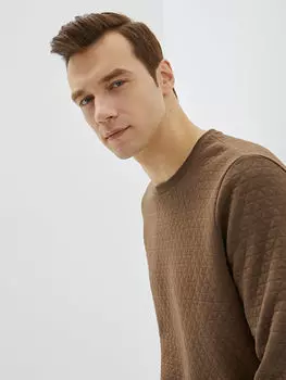 Мужская толстовка с круглым вырезом и длинными рукавами LCWAIKIKI Classic