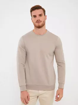 Мужская толстовка с круглым вырезом и длинными рукавами LCWAIKIKI Classic, бежевый