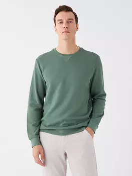 Мужская толстовка с круглым вырезом и длинными рукавами LCWAIKIKI Classic, бледно-зеленый