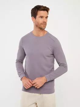 Мужская толстовка с круглым вырезом и длинными рукавами LCWAIKIKI Classic, матовый сиреневый