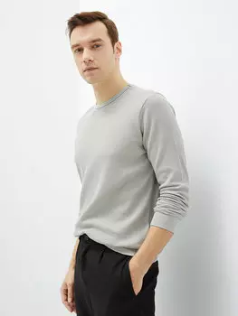 Мужская толстовка с круглым вырезом и длинными рукавами LCWAIKIKI Classic, серый жаккард