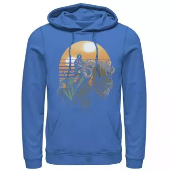 Мужская толстовка с портретом в стиле ретро «Звездные войны Bantha Riders Sunset» Licensed Character