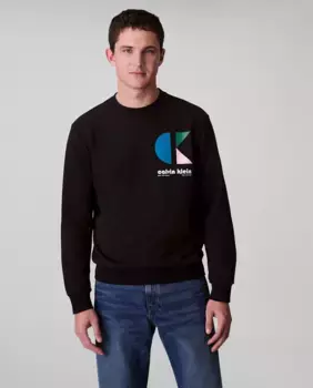 Мужская толстовка с принтом Calvin Klein Jeans, черный