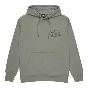 Мужская толстовка с принтом Quiksilver, зеленый