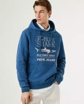 Мужская толстовка с регулируемым капюшоном и принтом Pepe Jeans, темно-синий