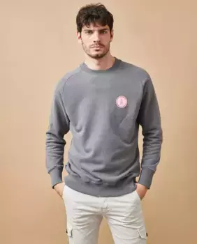 Мужская толстовка с трафаретной печатью без капюшона Altonadock, цвет Piedra