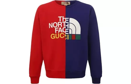 Мужская толстовка The North Face X, многоцветная Gucci, цвет Multicolor