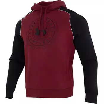 Мужская толстовка Under Armour, цвет Burgundy