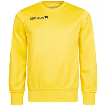 Мужская тренировочная толстовка Givova One