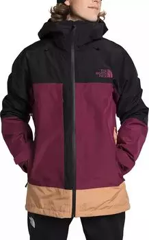Мужская триклиматная куртка ThermoBall Eco Snow The North Face