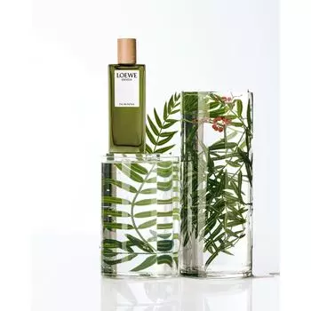Мужская туалетная вода Esencia Eau de Parfum Loewe, 150