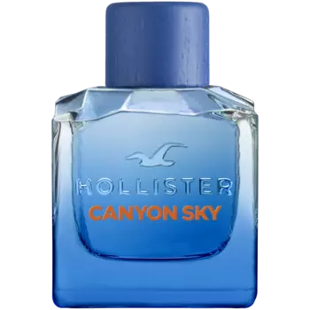 Мужская туалетная вода Hollister Canyon Sky, 100 мл