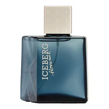Мужская туалетная вода Iceberg Homme, 100 мл