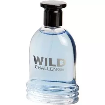 Мужская туалетная вода Street Looks - Wild Challenge - Eau De Toilette - 100ml