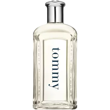 Мужская туалетная вода Tommy Hilfiger Men, 100 мл