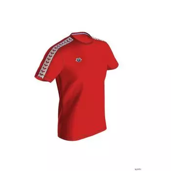 МУЖСКАЯ ФУТБОЛКА ARENA M TEAM ICONS, цвет rot
