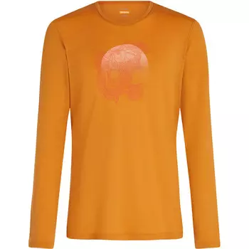 Мужские 200 Oasis Crewe Ruapehu, круглые, с длинным рукавом Icebreaker, цвет Ray