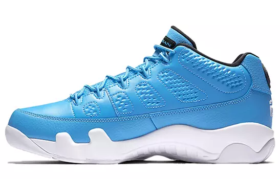 Кроссовки JORDAN 9 Retro Low Pantone